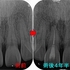 2025 EEdental SAM (4).jpg