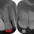 2025 EEdental SSO (1).jpg