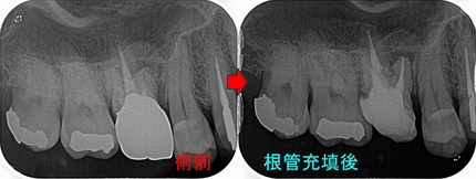 2025 EEdental SSO (2).jpg