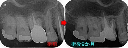 2025 EEdental SSO (3).jpg