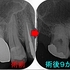 2025 EEdental SSO (3).jpg