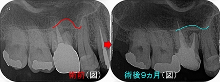 2025 EEdental SSO (4).jpg