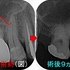2025 EEdental SSO (4).jpg