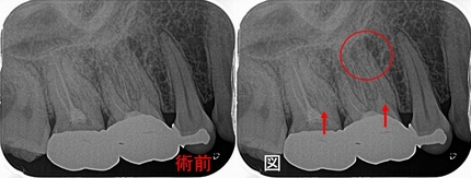 2025 EEdental TRI (1).jpg