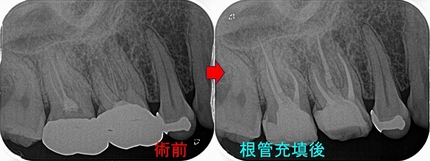 2025 EEdental TRI (2).jpg