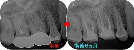 2025 EEdental TRI (3).jpg