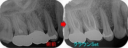 2025 EEdental TRI (4).jpg