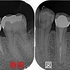 2025 EEdental MAN (1).jpg