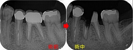 2025 EEdental MAN (2).jpg
