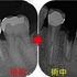 2025 EEdental MAN (2).jpg