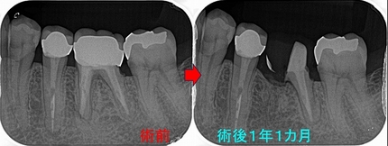 2025 EEdental MAN (3).jpg