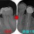 2025 EEdental MAN (3).jpg