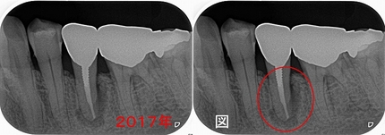 2025 EEdental NA (1).jpg