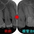 2025 EEdental NIM (2).jpg
