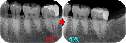 2025 EEdental OMI (1).jpg