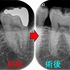 2025 EEdental OMI (1).jpg