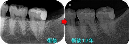 2025 EEdental OMI (2).jpg
