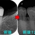 2025 EEdental OMI (2).jpg