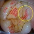 2025 EEdental OMI.jpg