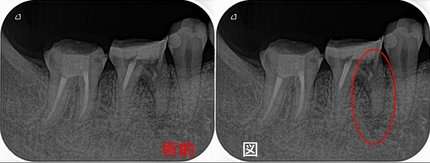 2025 EEdental SYU (1).jpg
