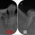 2025 EEdental SYU (1).jpg