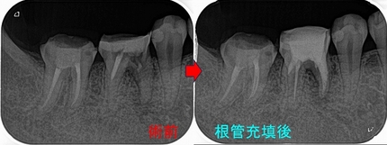 2025 EEdental SYU (2).jpg