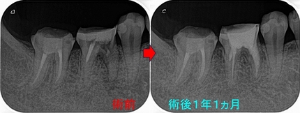 2025 EEdental SYU (3).jpg