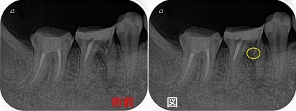 2025 EEdental SYU (4).jpg