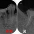 2025 EEdental SYU (4).jpg