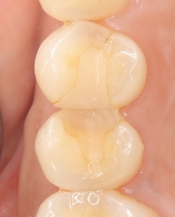 2025 EEdental TA (1).jpg