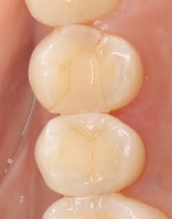 2025 EEdental TA (2).jpg