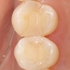 2025 EEdental TA (2).jpg