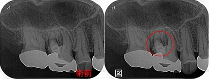2025 EEdental KSA (1).jpg