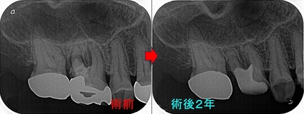 2025 EEdental KSA (2).jpg
