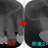2025 EEdental KSA (2).jpg