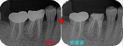 2025 EEdental MAA (1).jpg
