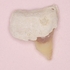 2025 EEdental MAA (2).jpg