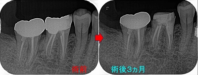 2025 EEdental MAA (3).jpg