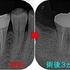 2025 EEdental MAA (3).jpg