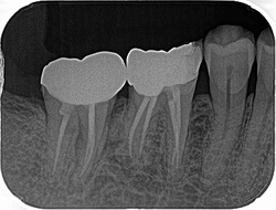 2025 EEdental MAA (4).jpg