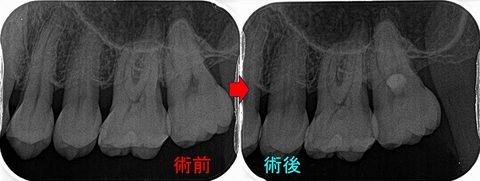 2025 EEdental MAR.jpg