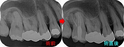 2025 EEdental MO.jpg
