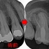 2025 EEdental MO.jpg