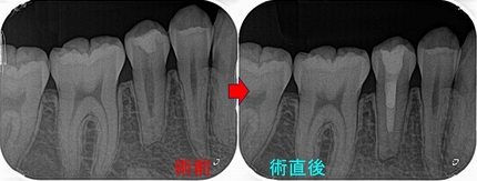 2025 EEdental MUY (1).jpg