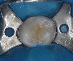 2025 EEdental MUY (2).jpg