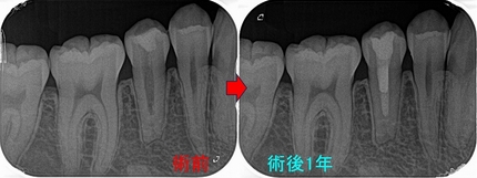2025 EEdental MUY (3).jpg