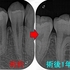 2025 EEdental MUY (3).jpg
