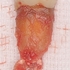 2025 EEdental NAM (4).jpg