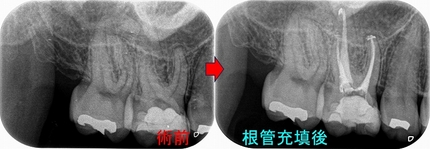 2025 EEdental TYA (1).jpg