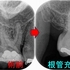 2025 EEdental TYA (1).jpg